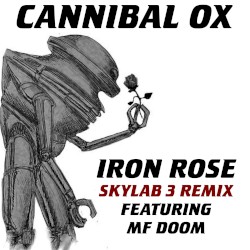 Iron Rose (Skylab 3 remix)