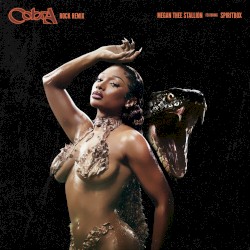 Cobra (rock remix)