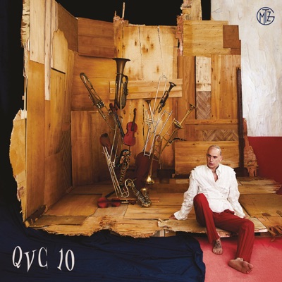 QVC 10 - Quello Che Vi Consiglio, Vol. 10