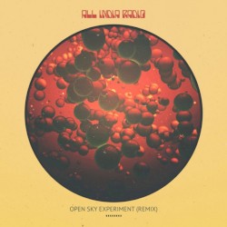 Open Sky Experiment (Remix)