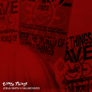 Little Things (Nia Archives remix)