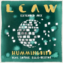 Hummingbird (extended mix)
