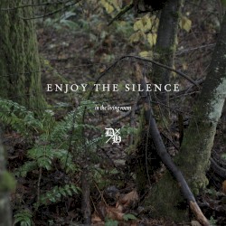 Enjoy the Silence