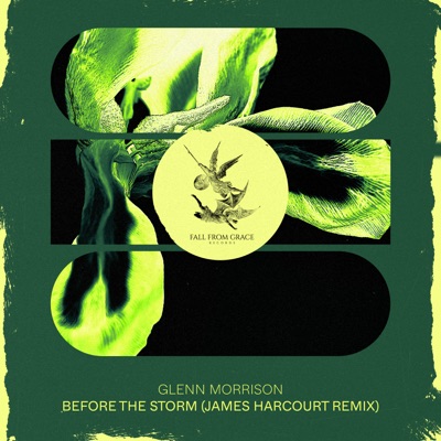 Before the Storm (James Harcourt Remix)