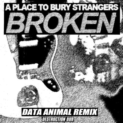 Broken (Data Animal Destruction Derby Remix)