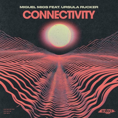 Connectivity (feat. Ursula Rucker)