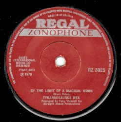 By the light of a magical moon