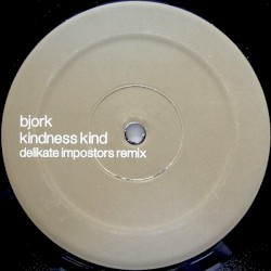 Kindness Kind (Delikate Imposters mix)