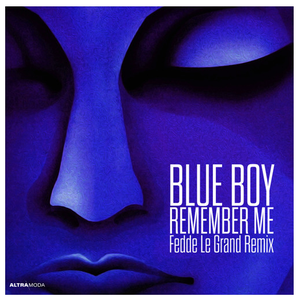 Remember Me (Fedde Le Grand remix)