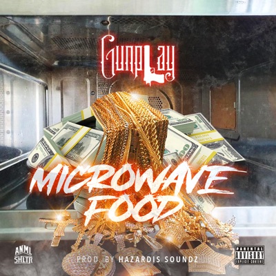 MICROWAVE FOOD (feat. Hazardis Soundz)