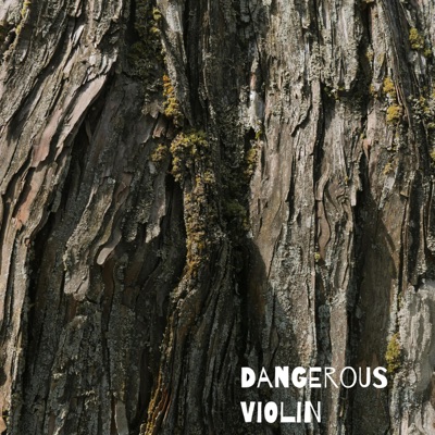 Dangerous Violin