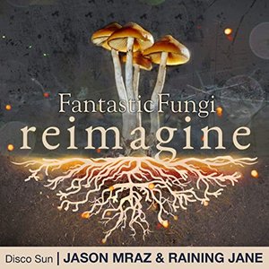 Disco Sun (Fantastic Fungi: Reimagine)