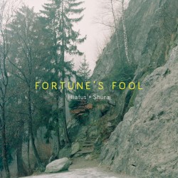 Fortune’s Fool