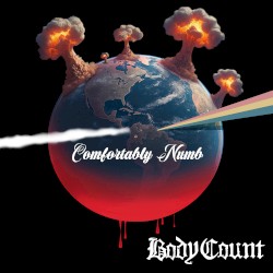 Comfortably Numb