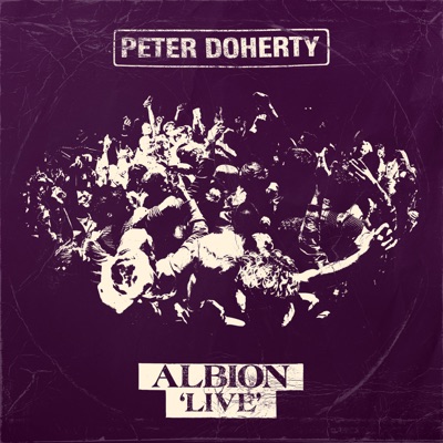 Albion (Live)