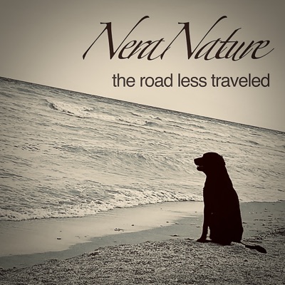 The Road Less Traveled