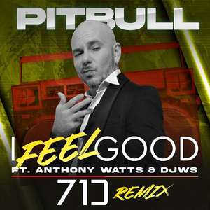 I Feel Good (71 Digits remix)