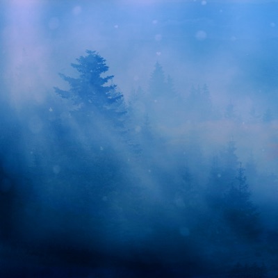 Fell in Fields of Melting Snow