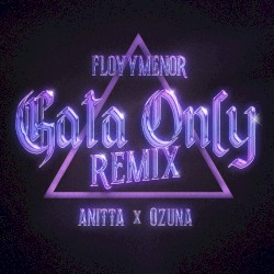Gata Only (Remix)