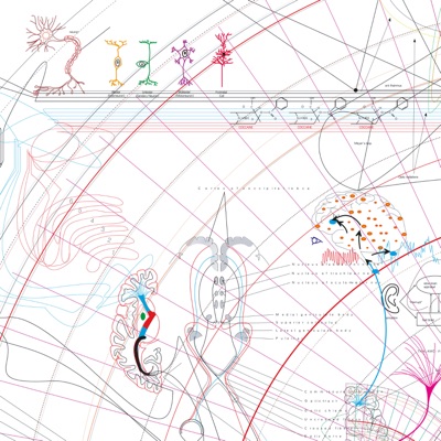 My Choices Are Not My Own (feat. Tawiah & May Kaspar)