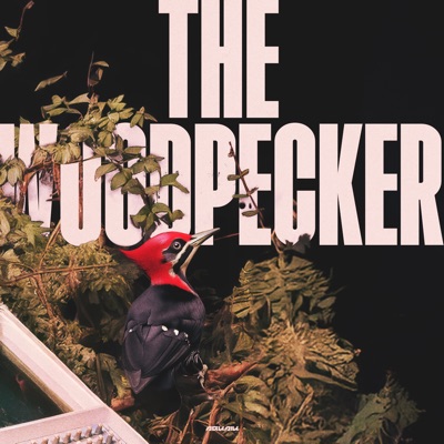 The Woodpecker