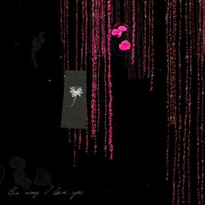 The Way I Love You (Remixes