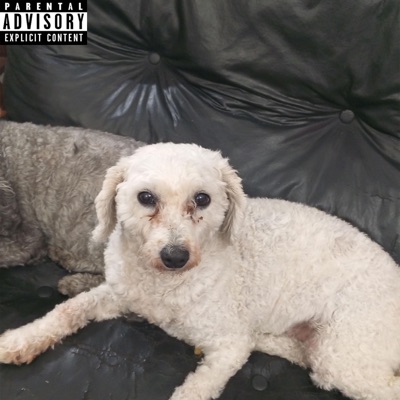 porque desapareces al despertar