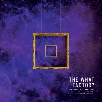The What Factor (Vinyl Cut) [feat. Tony Remy & Nigel Price] [Masterlink Sessions]