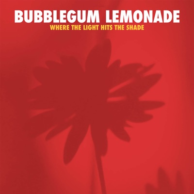 Where The Light Hits The Shade