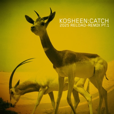 Catch (2025 Reload-Remix, Pt.1)