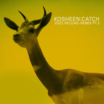 Catch (2025 Reload-Remix, Pt.2)