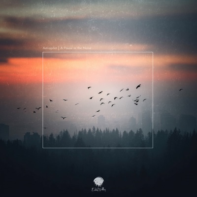 A Pause in the Noise