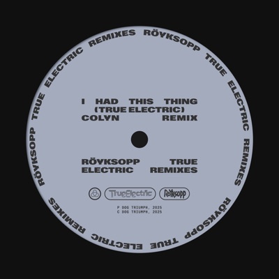 I Had This Thing (Colyn Remix) [feat. Jamie Irrepressible]