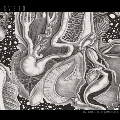 Dimensional Space (Remastered)