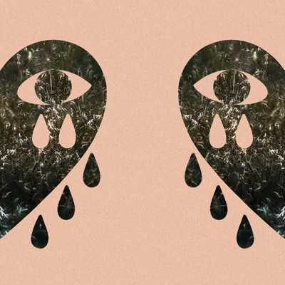 Como é Fraco o Coração (feat. Tiago Nogueira)