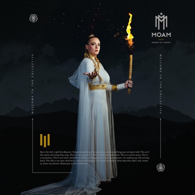 WELCOME TO THE COLLECTIVE