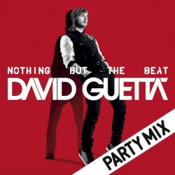Nothing But the Beat (Party Mix)
