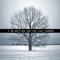 I Am Waiting for You Last Summer