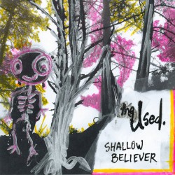 Shallow Believer