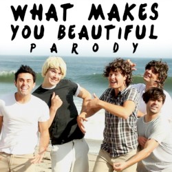 What Makes You Beautiful Parody