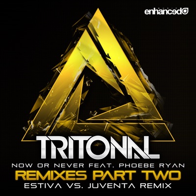 Now or Never (Remixes Pt. 2) [feat. Phoebe Ryan & Estiva]