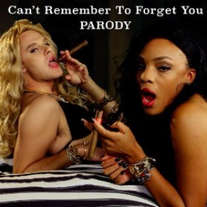 Can't Remember to Forget You Parody