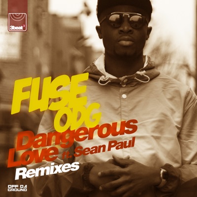 Dangerous Love (feat. Sean Paul) [Remixes]