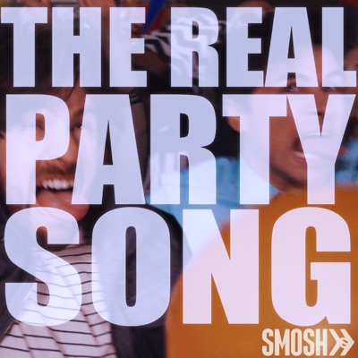 The Real Party Song