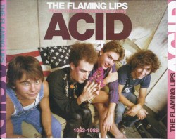 Finally the Punk Rockers Are Taking Acid: 1983-1988