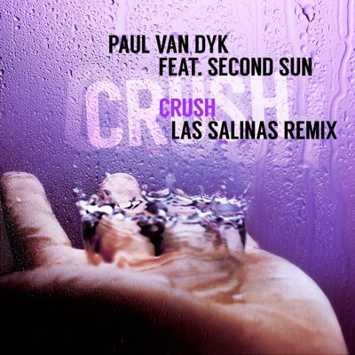 Crush (Las Salinas Remix) [feat. Second Sun]