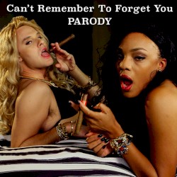 Can’t Remember to Forget You Parody