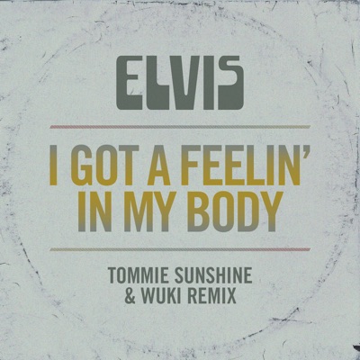 I Got a Feelin' In My Body (Tommie Sunshine & Wuki Remix)