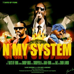 N My System