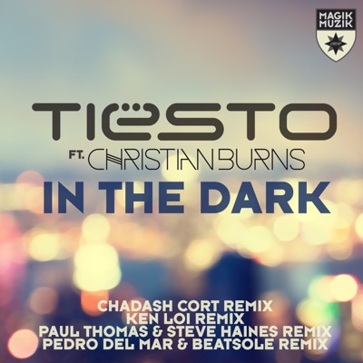 In the Dark (feat. Christian Burns) [Remixes]